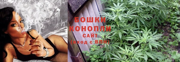 соль ск Надым